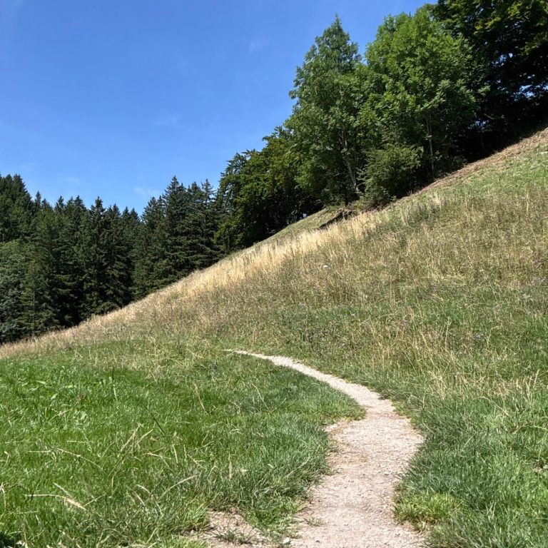 Wanderweg im Chiemgau Wandern zu wunderschönen Almhütten im Chiemgau