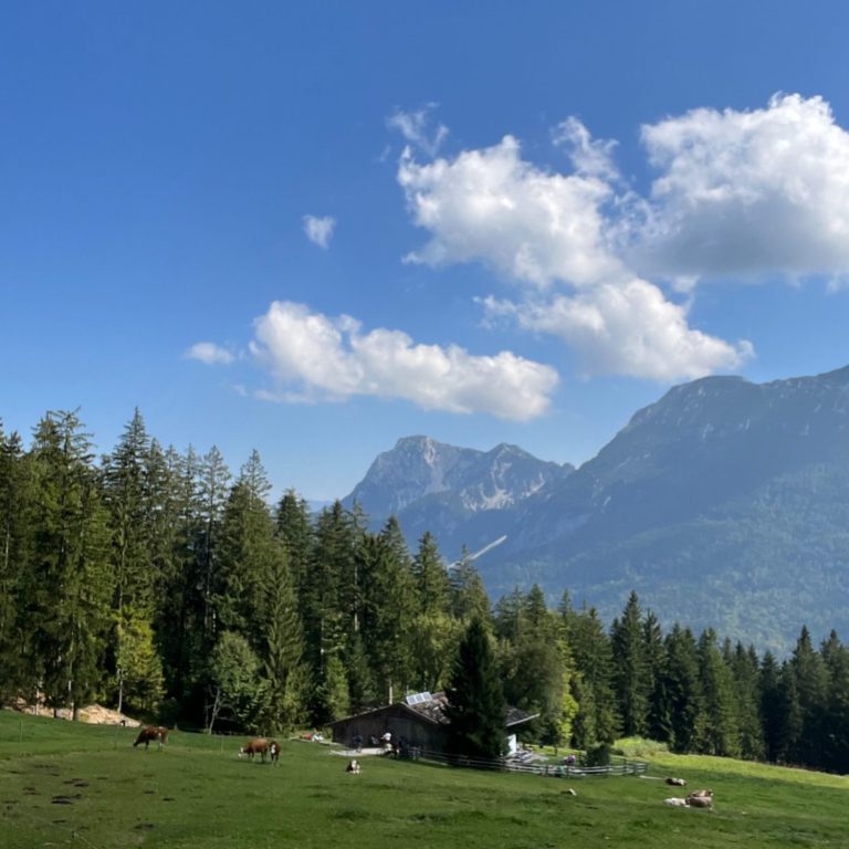 An der Alm im Chiemgau mit Blick auf die Alpen