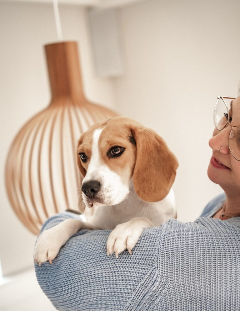Janine von Chiemgau mit Pfoten mit ihrer Beagle-Dame Winnie – Kontakt aufnehmen